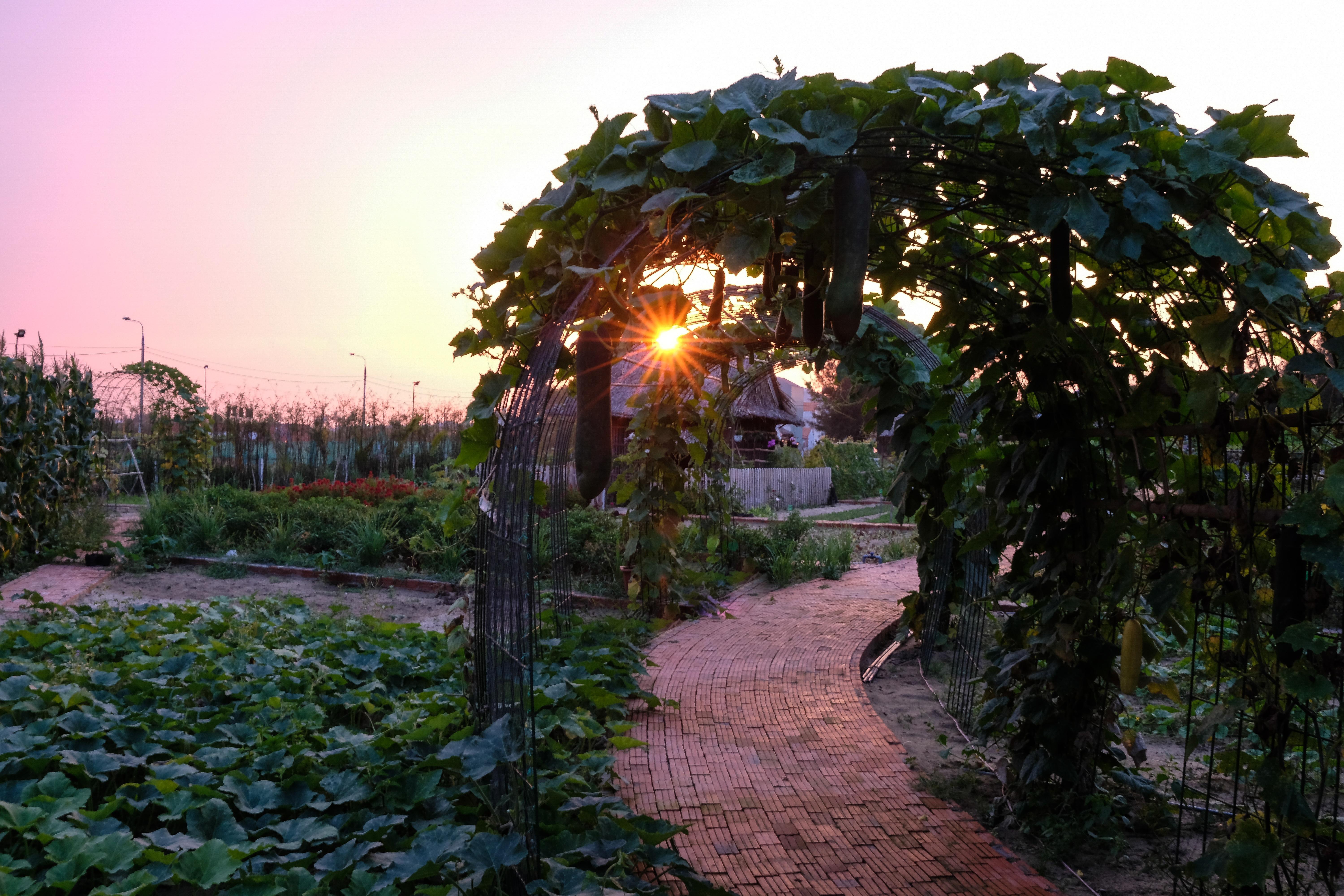 Silk Sense Hoi An River Resort - A Sustainable Destination Exterior foto